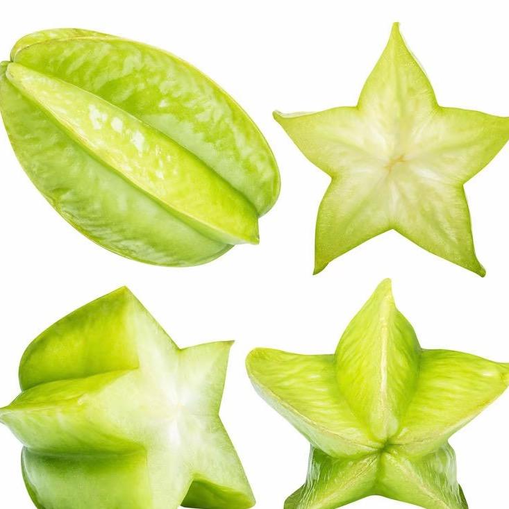 森林里的小动物