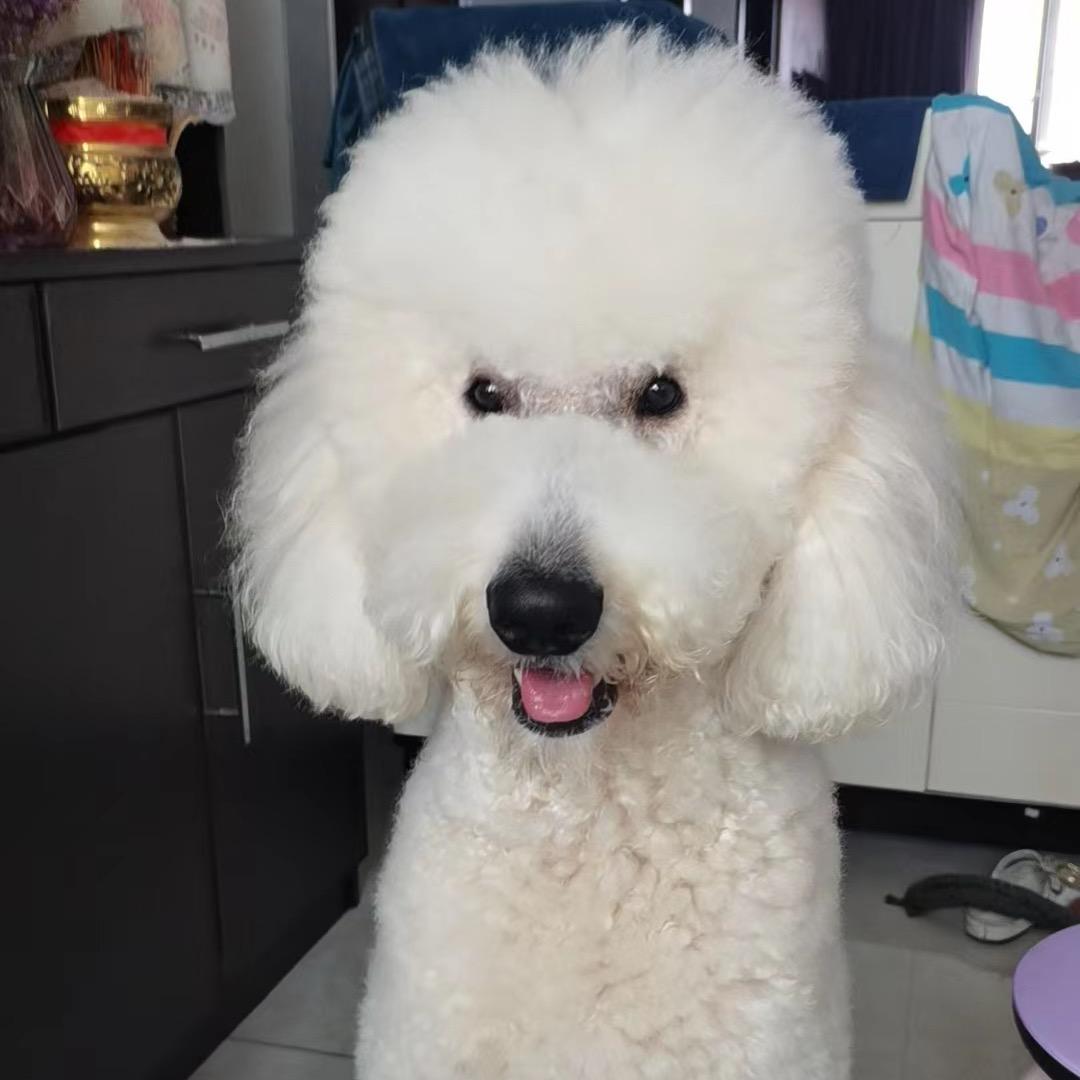 遥遥