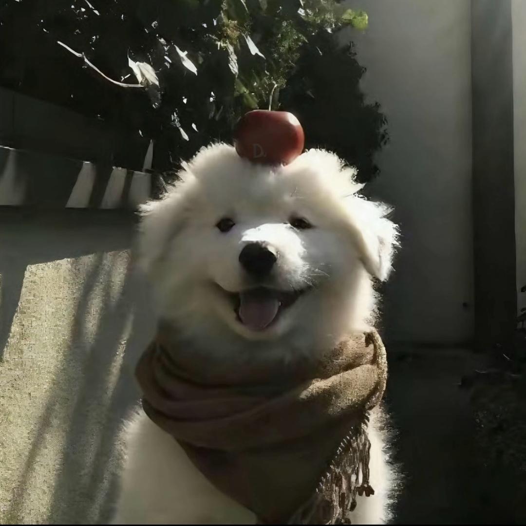 嘻嘻嘻-