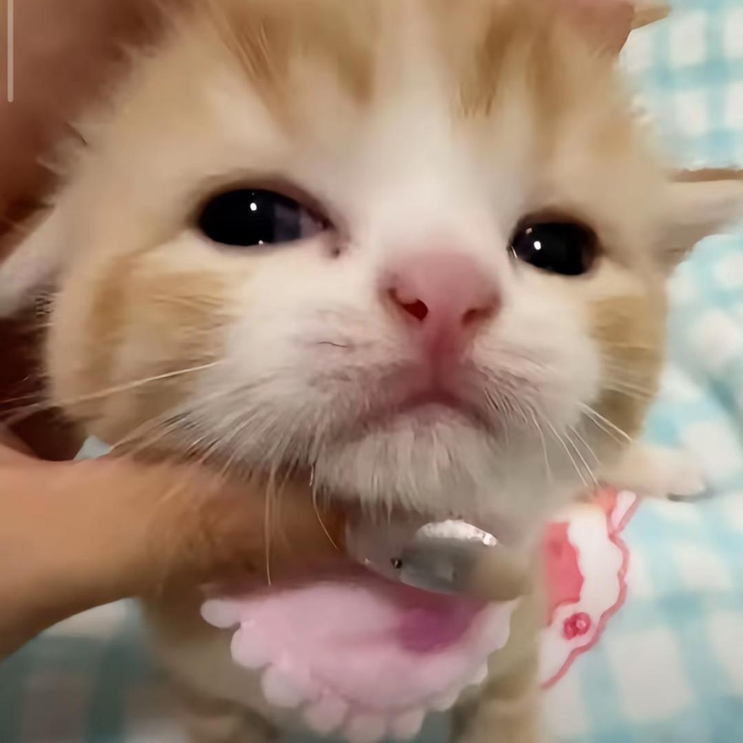 ok慧