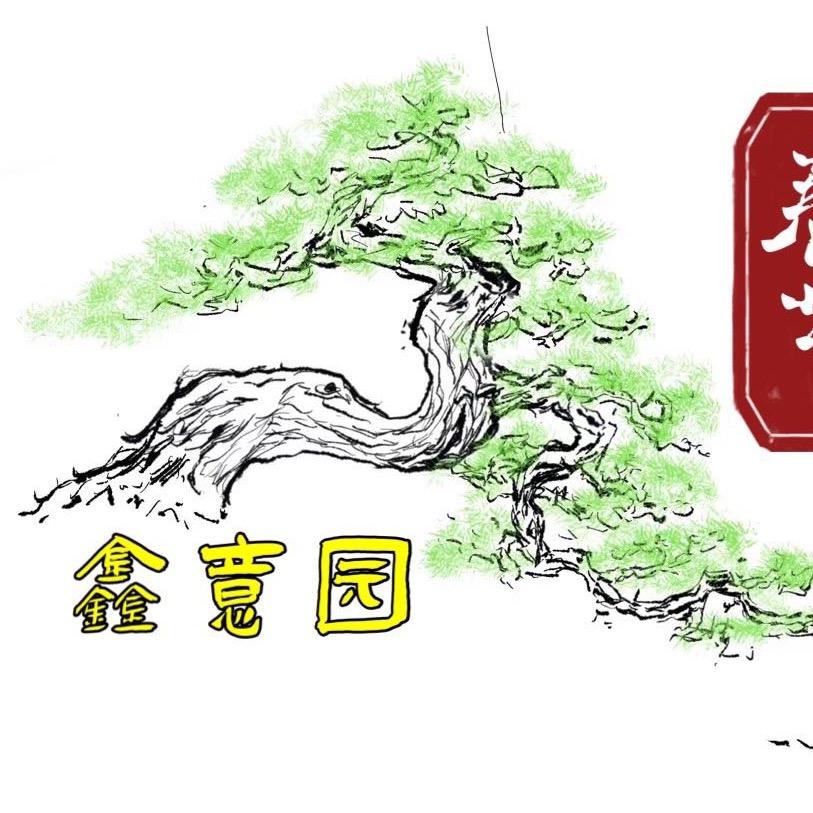 北海鑫意园罗汉松