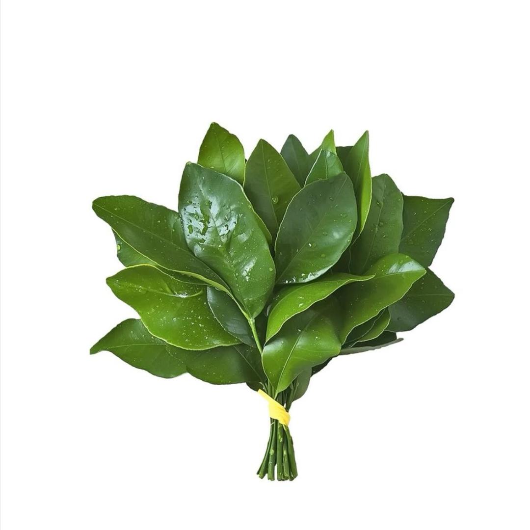 糕冷小美