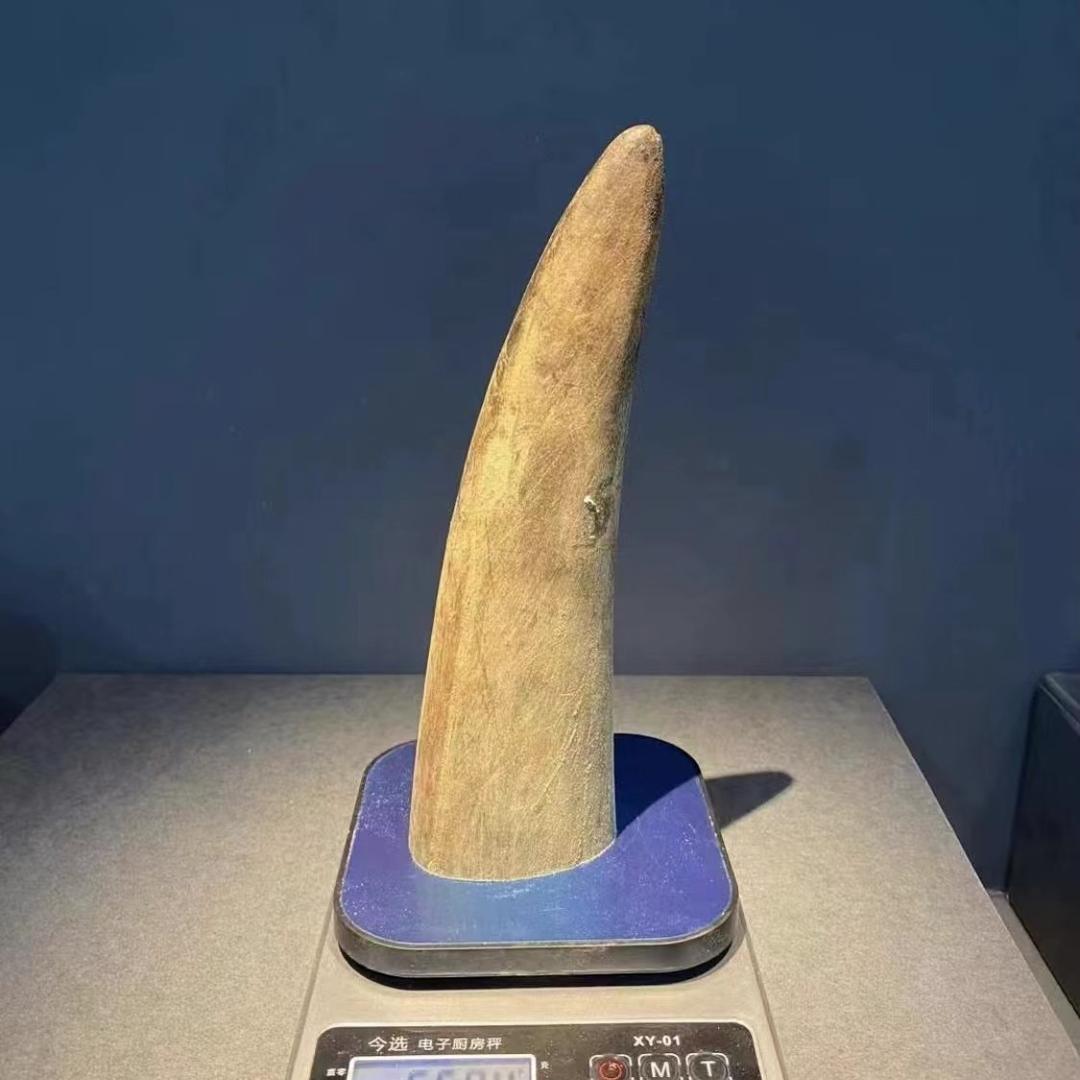 30687503164