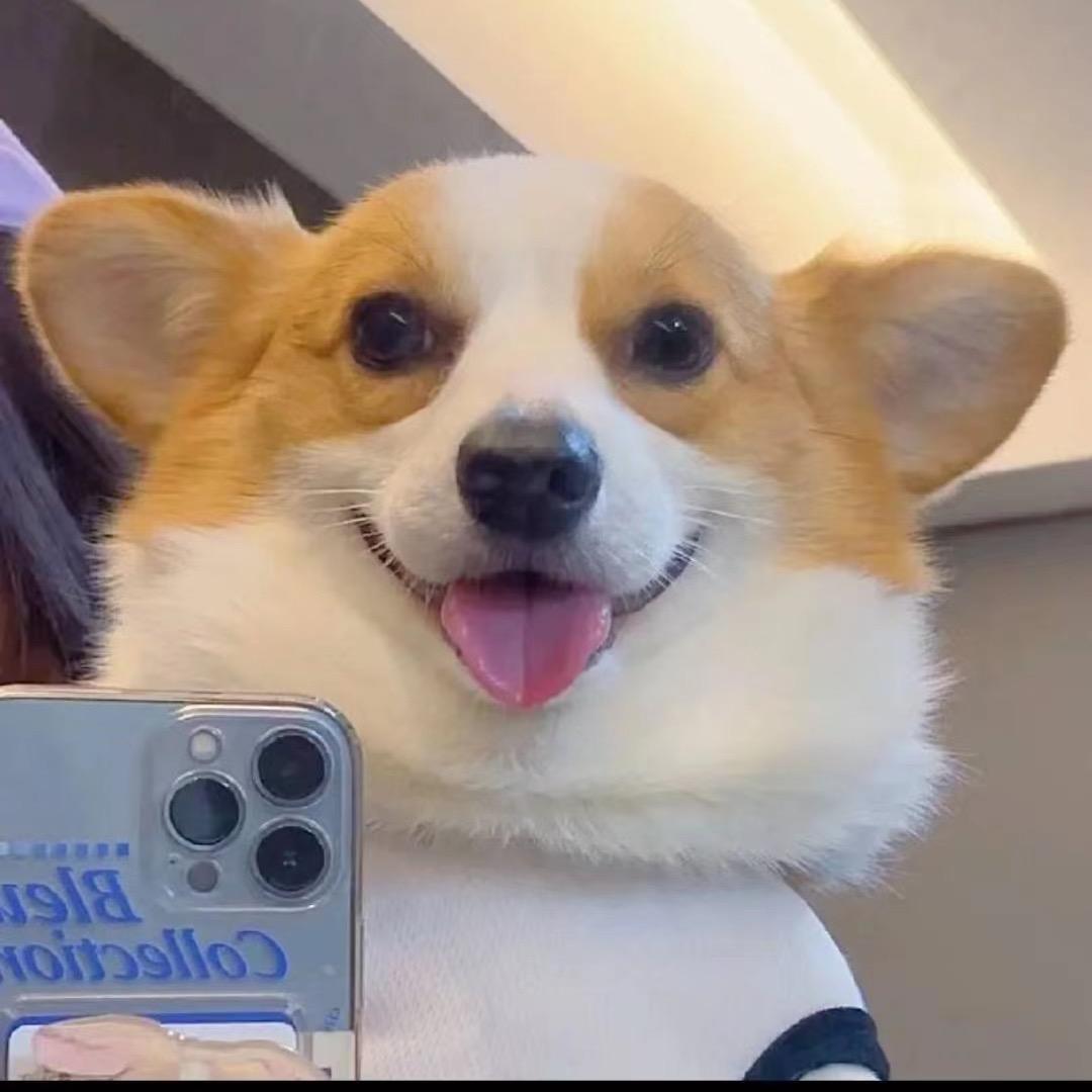 崽崽·