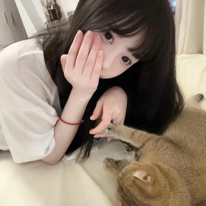 高冷豆