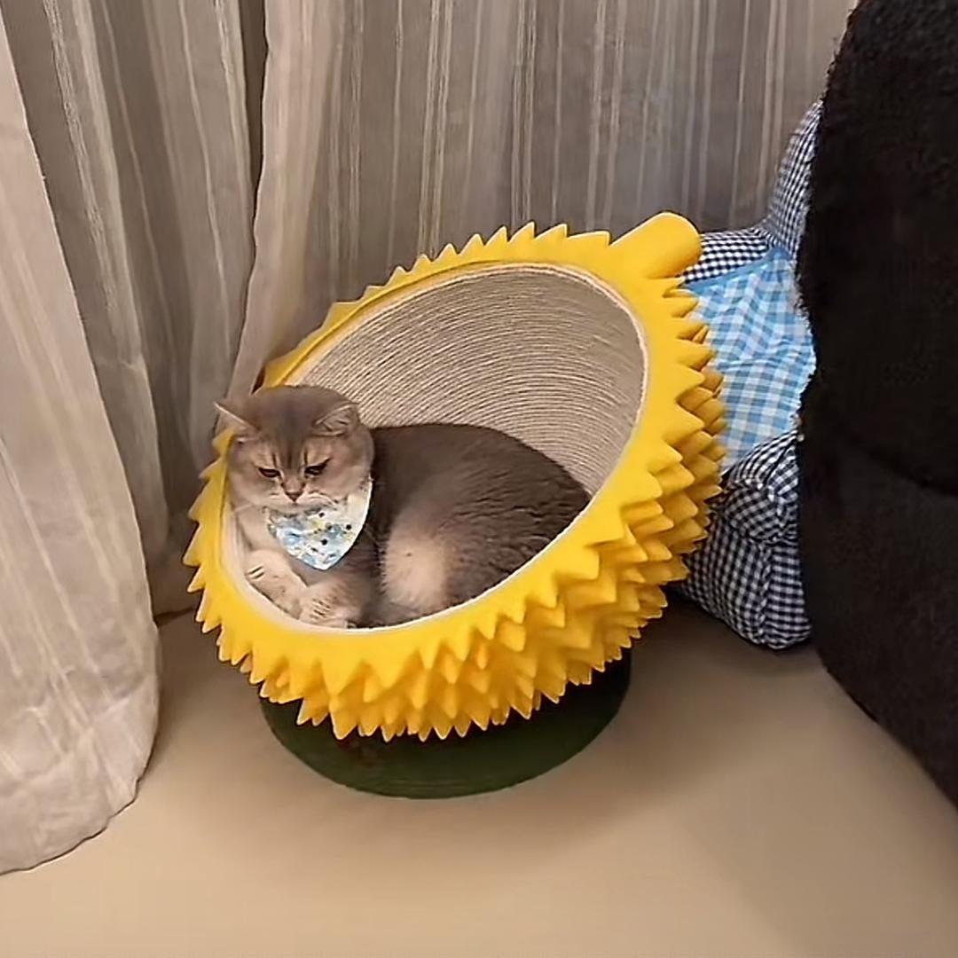 不准发呆^