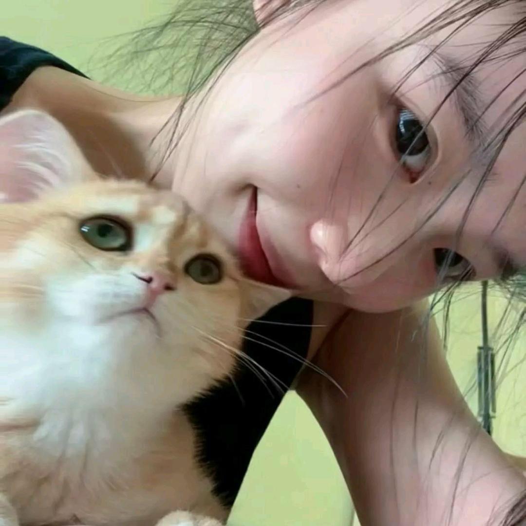 包加个 子