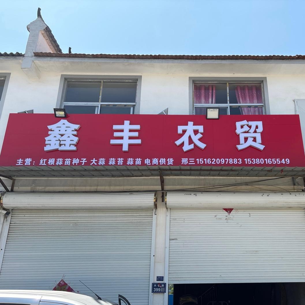 丰县蒜苔红根蒜苗种子川蒜种子产地