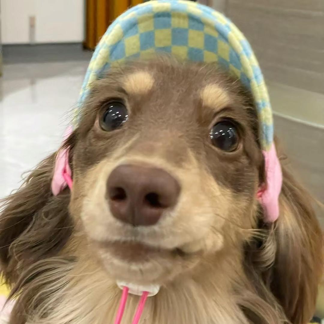 昨叶萩
