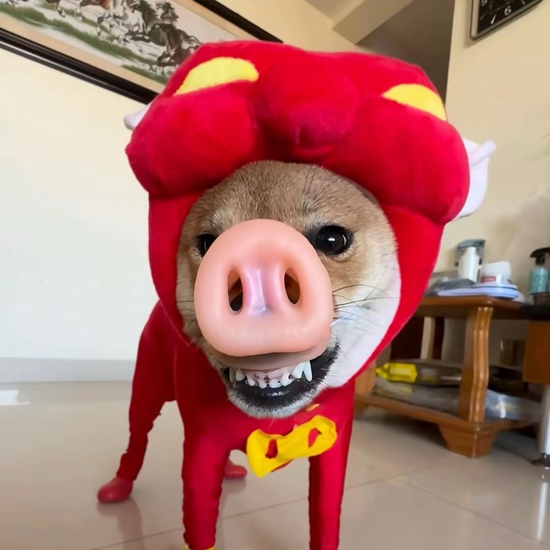 恎恦