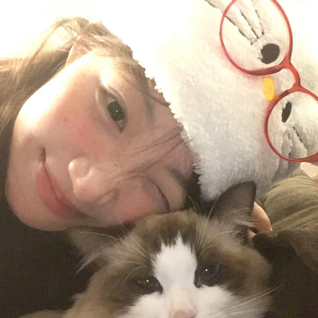 一只🐑