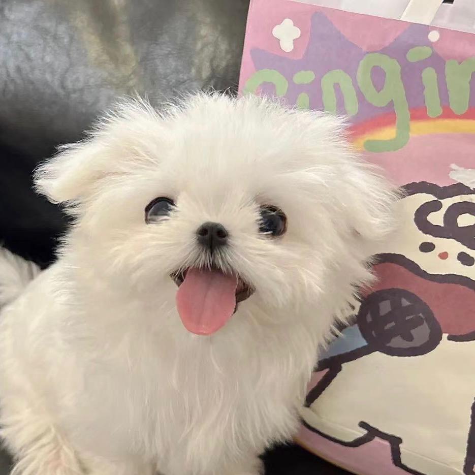 睡觉对我很重要😴