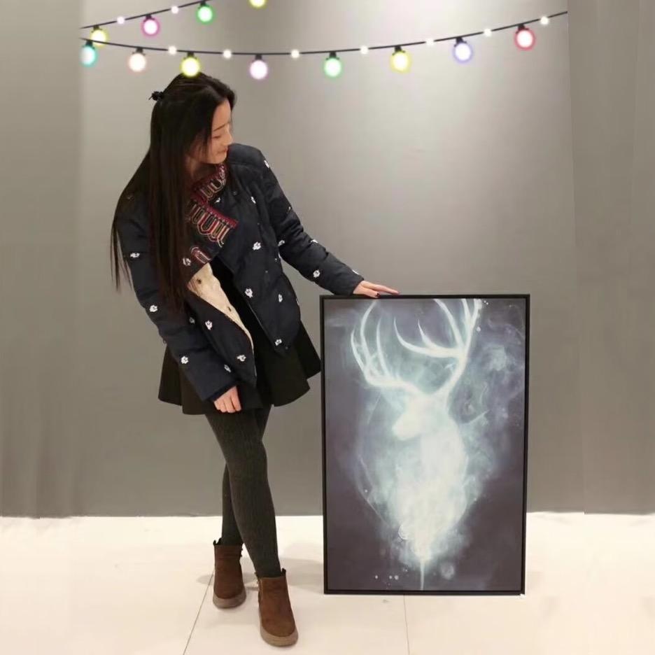 永济圣熙嘉画装饰画.神将防盗门（智能锁）