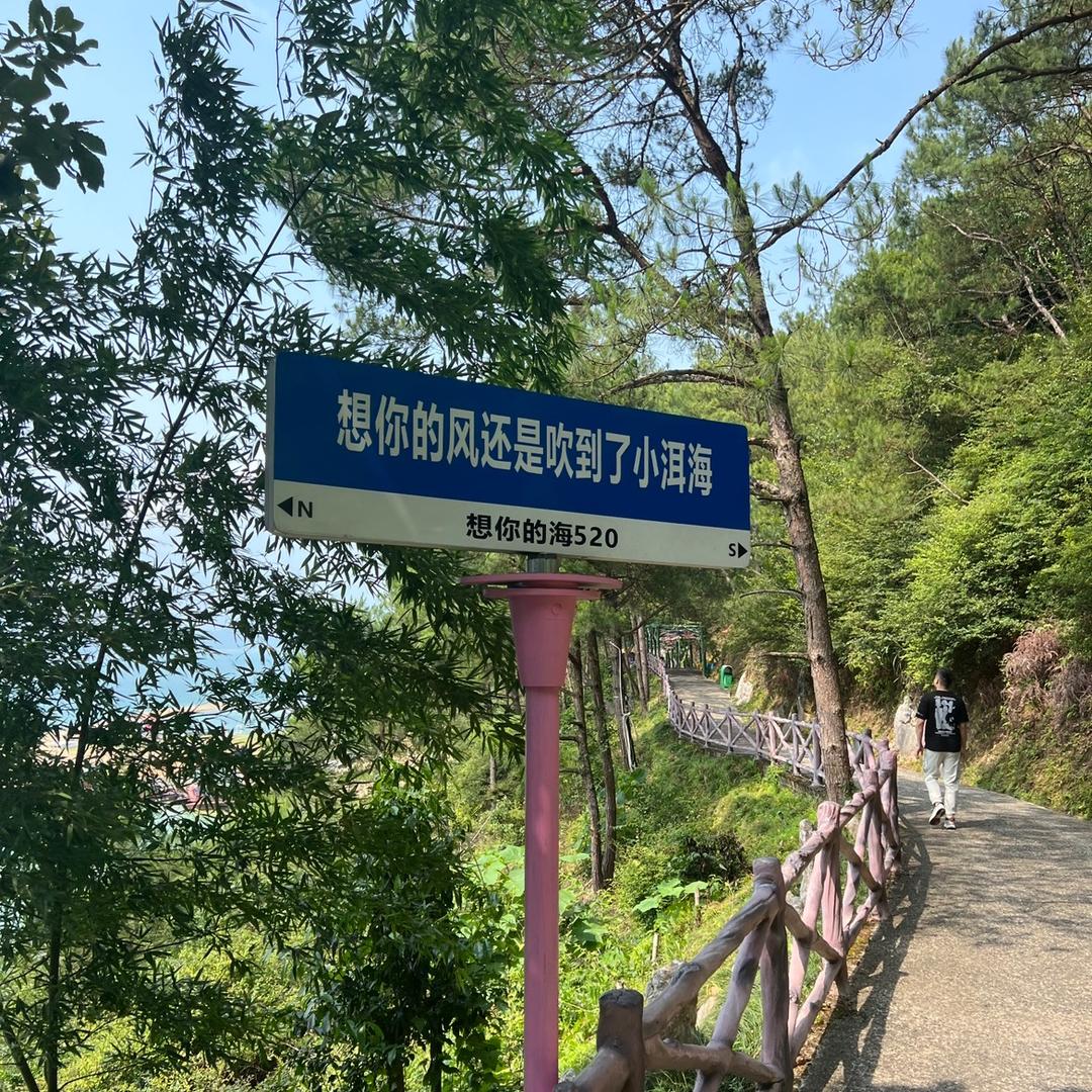 向阳而生