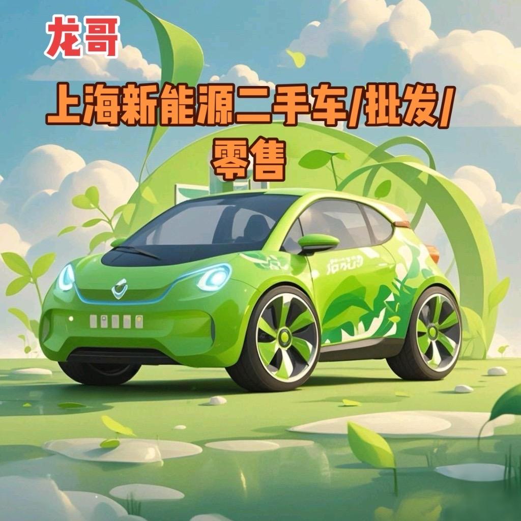 上海龙哥新能源二手车