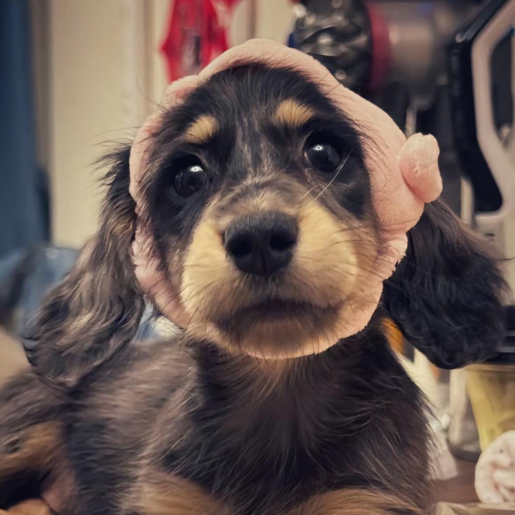 王饱饱不饿🇨🇳