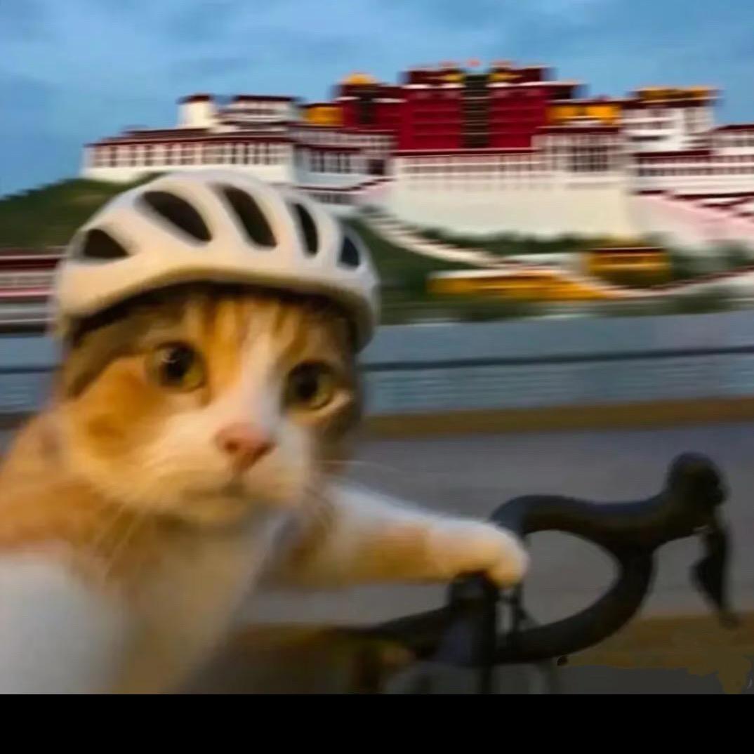 西北F4(庆阳短剧）