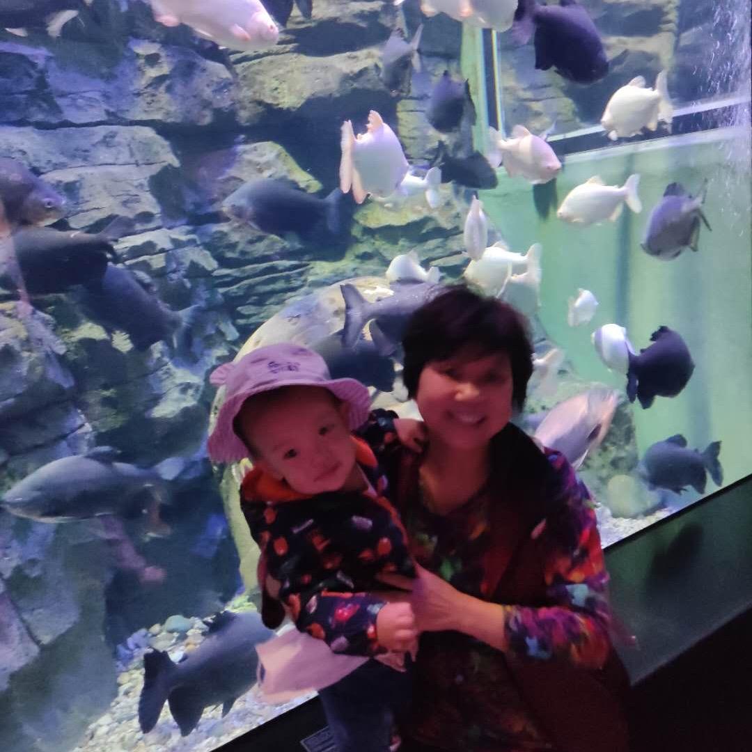 饺子婆婆