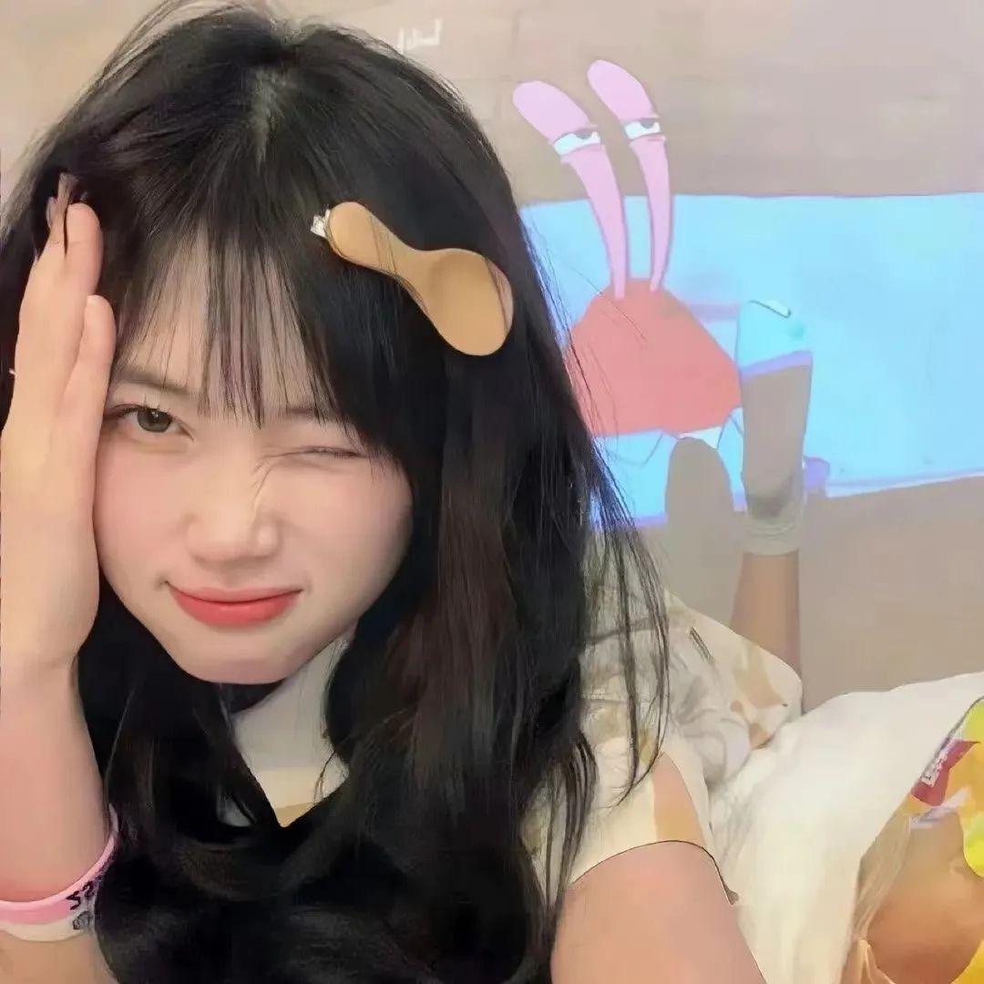 猪猪侠🎉