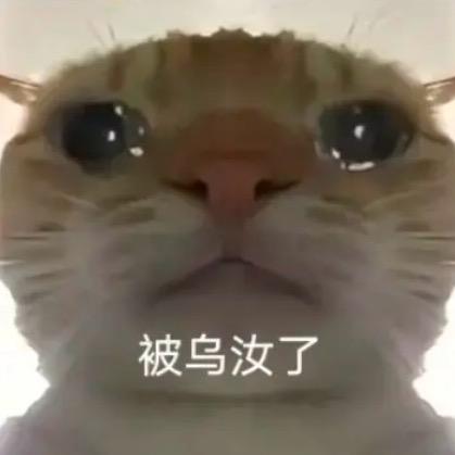 zzz（汐语电竞三角洲行动）