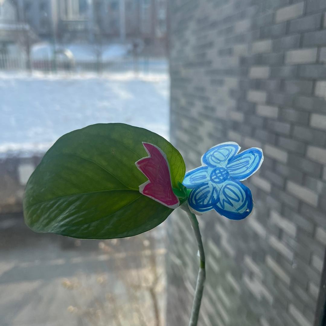 沙漠风暴
