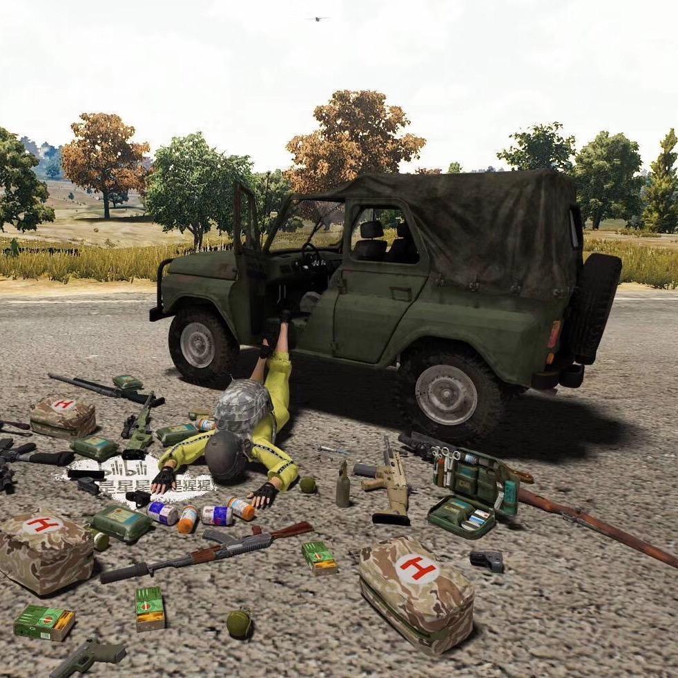 PUBG_Bug