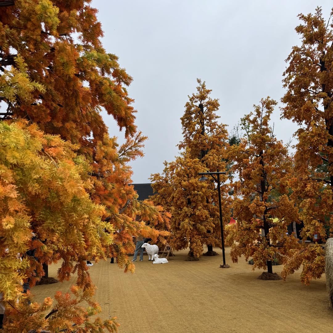 风先森「千格大包」