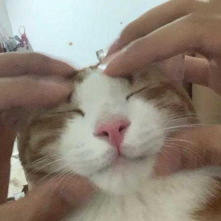 杰尼杰尼杰尼