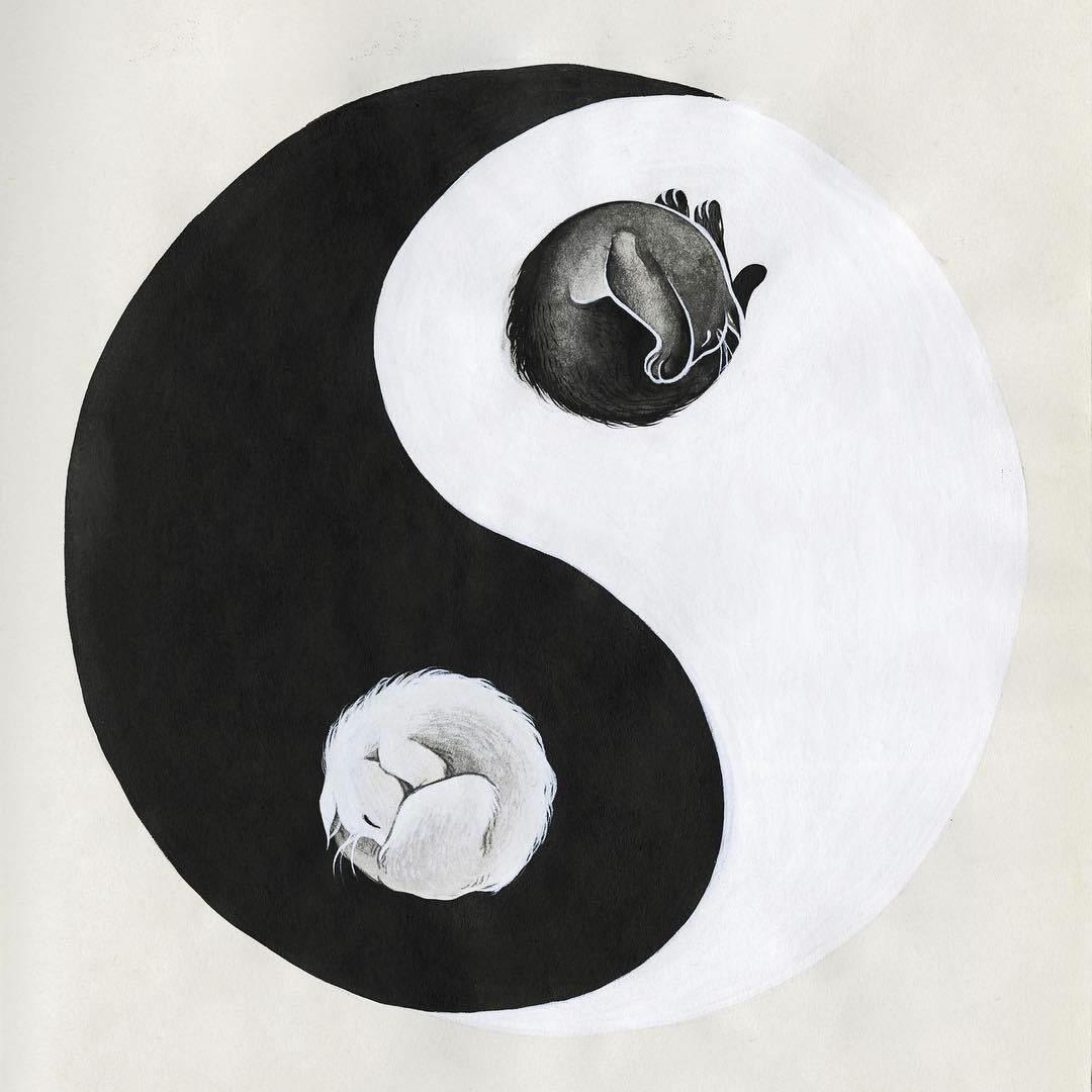 活力2 8