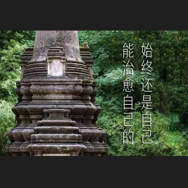 半旧的半旧