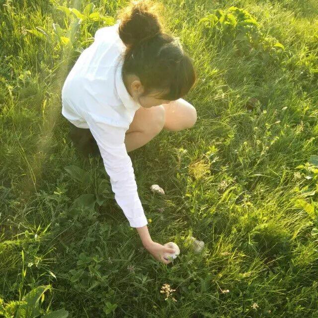 郑州市诚鸿生态农业