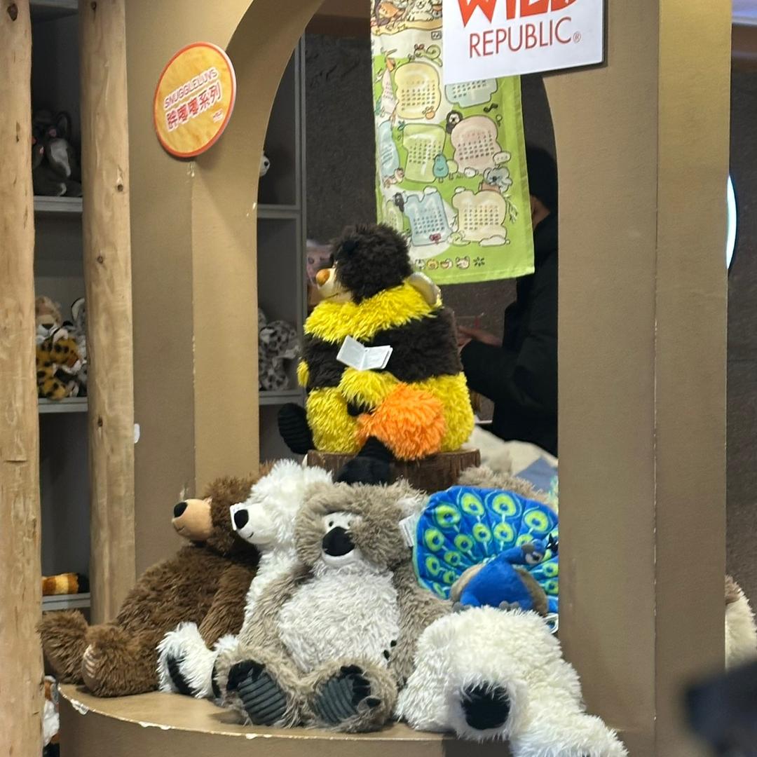 我们都爱广告学