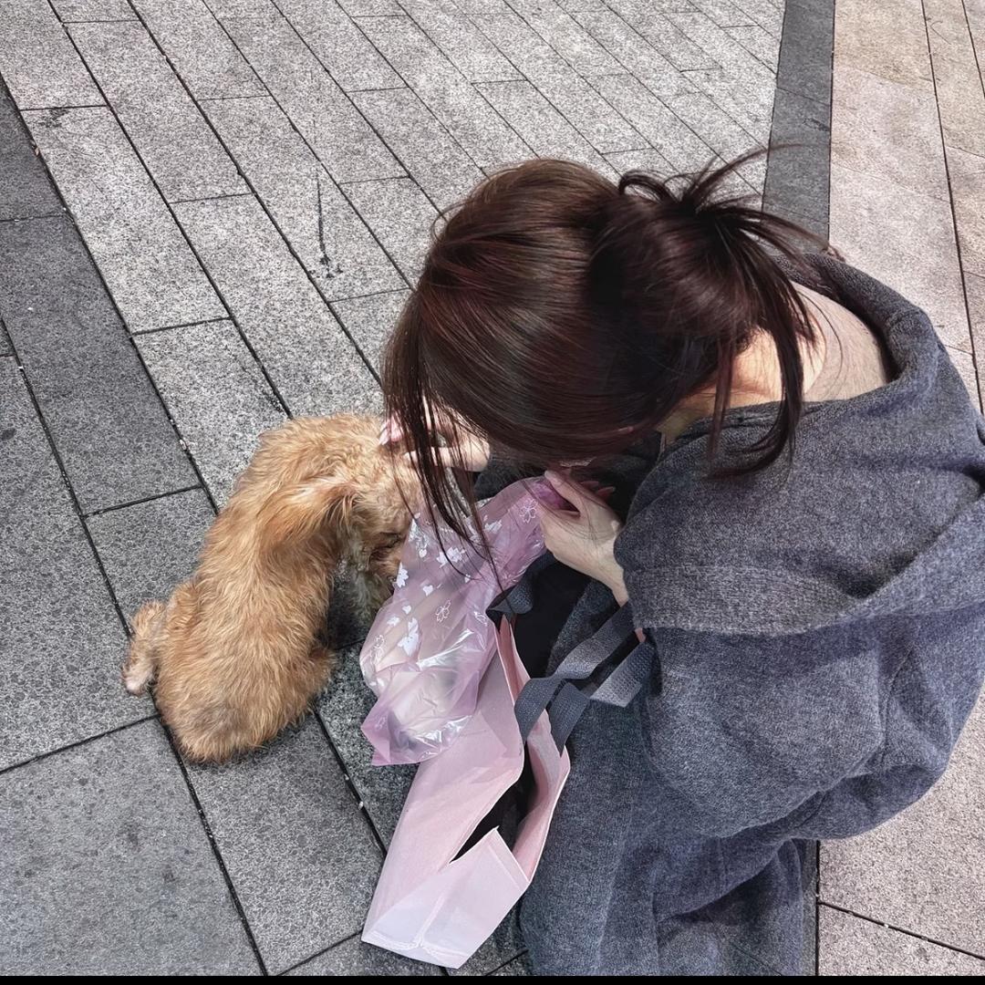 发发发发财～