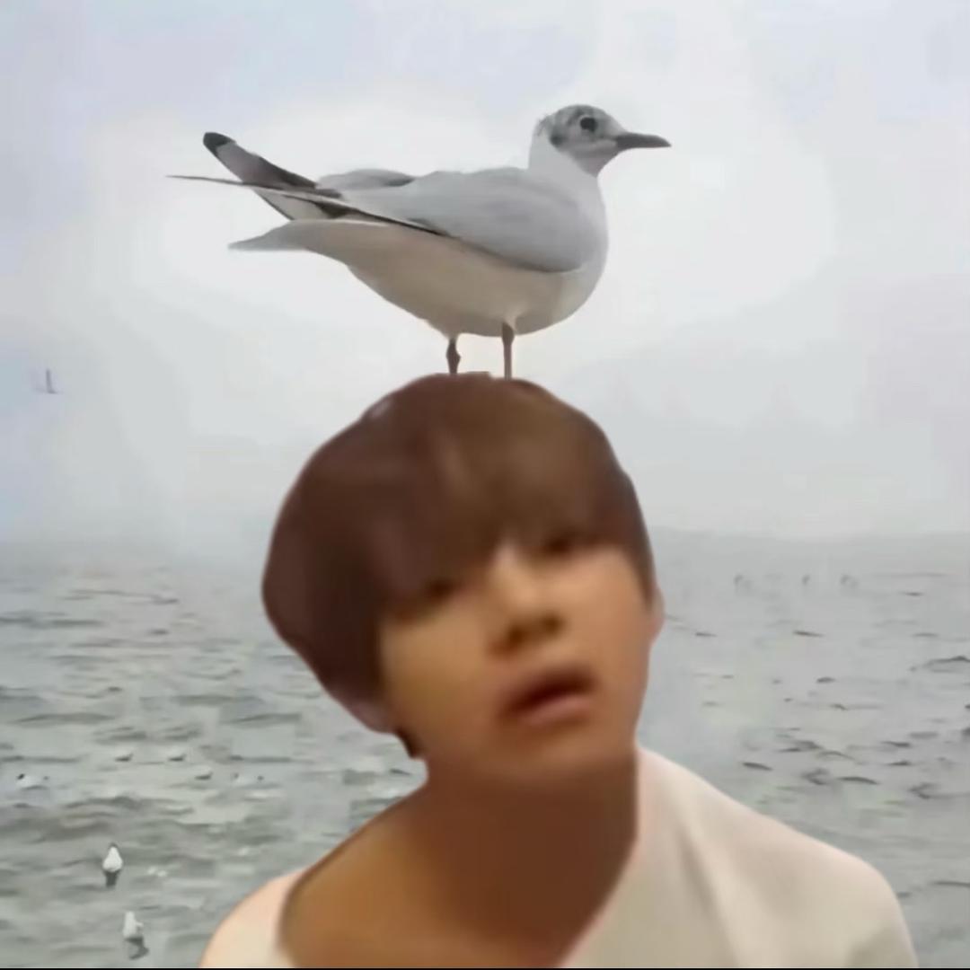 jung_tian^（见过林华香版）