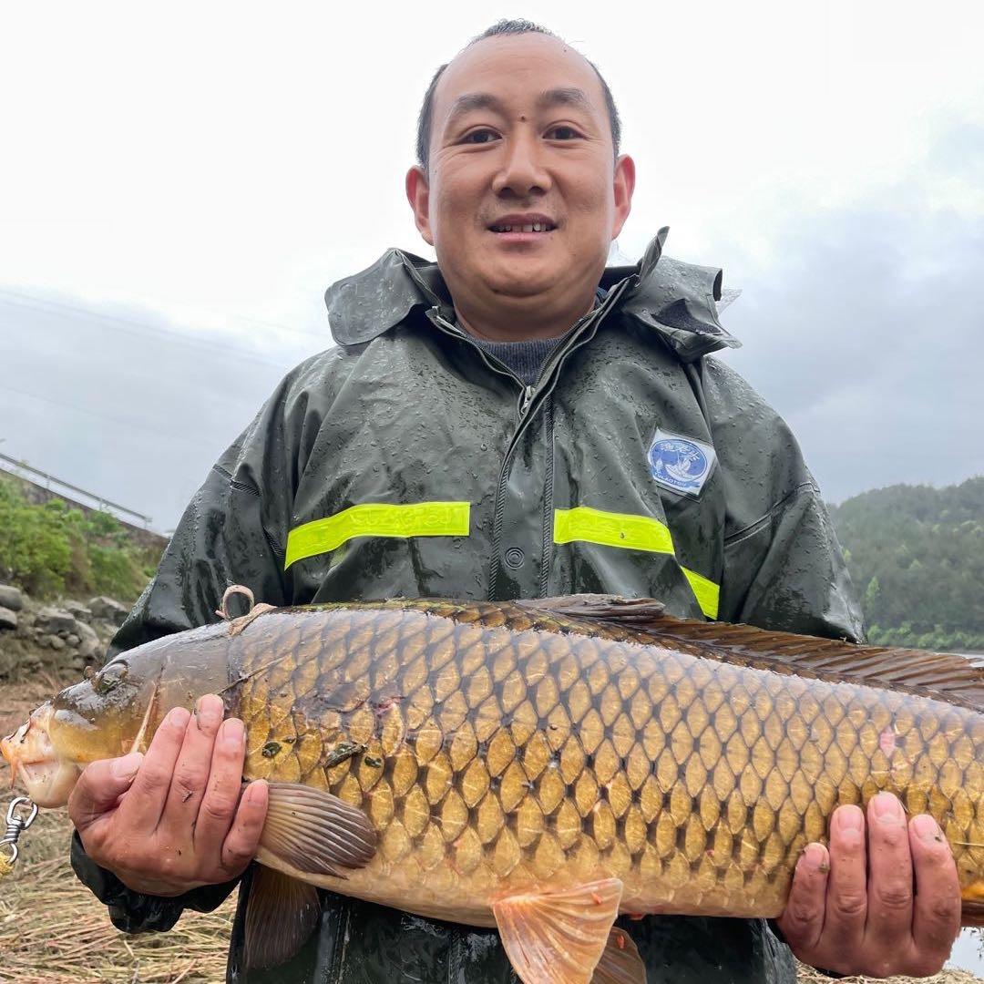 西达谷麦
