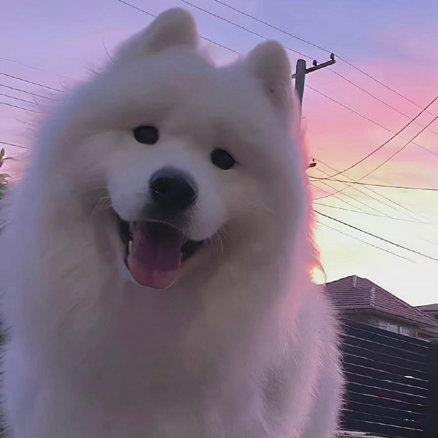 :-