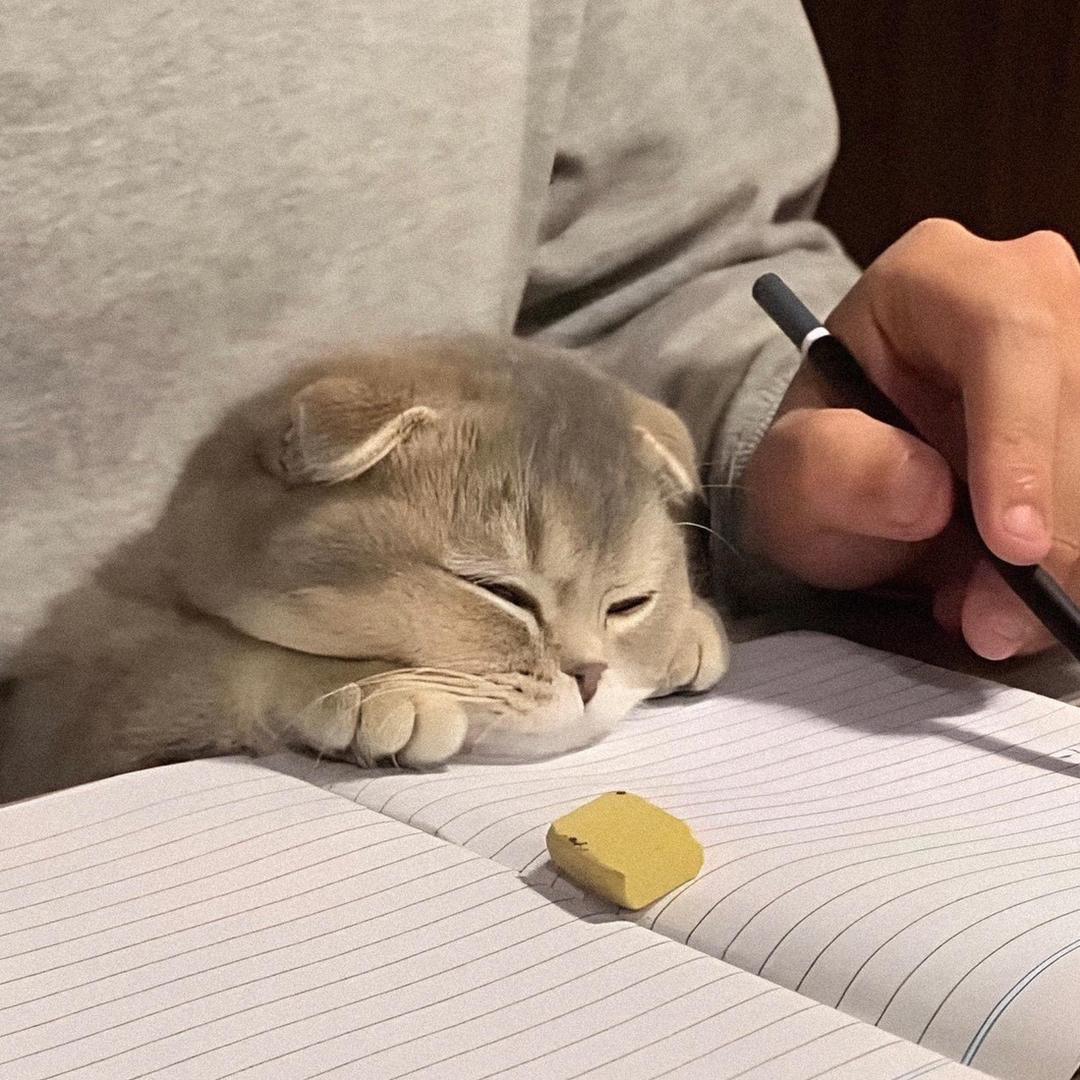 迷雾散尽