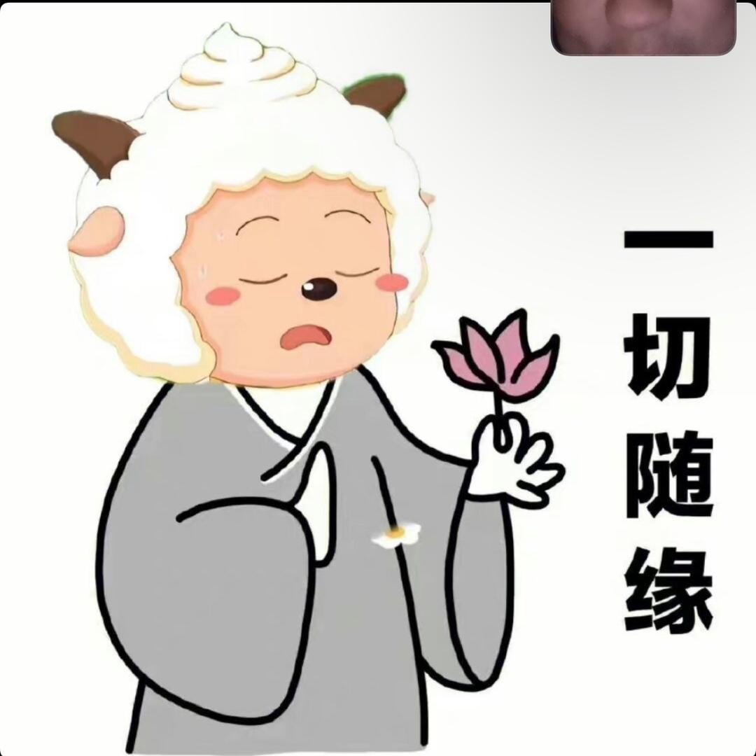 可达鸭米