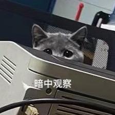 傲娇姐姐