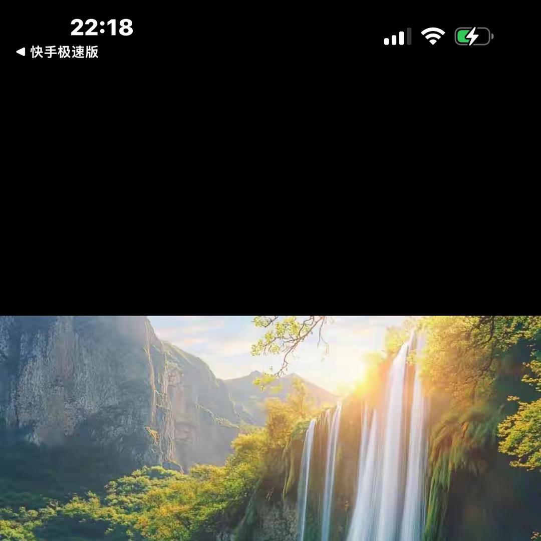 阳光森林