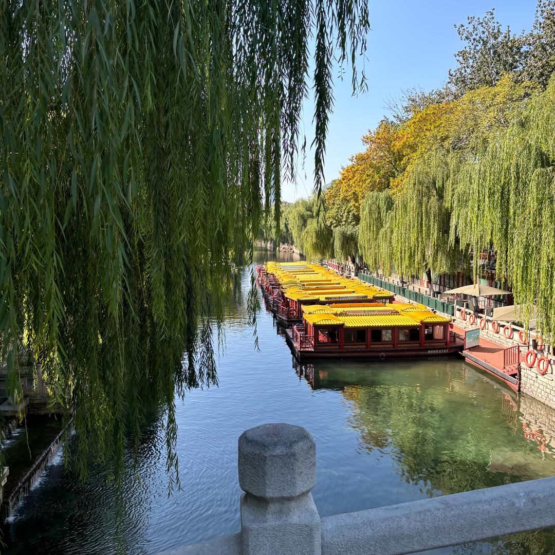 阳光阳光☀️