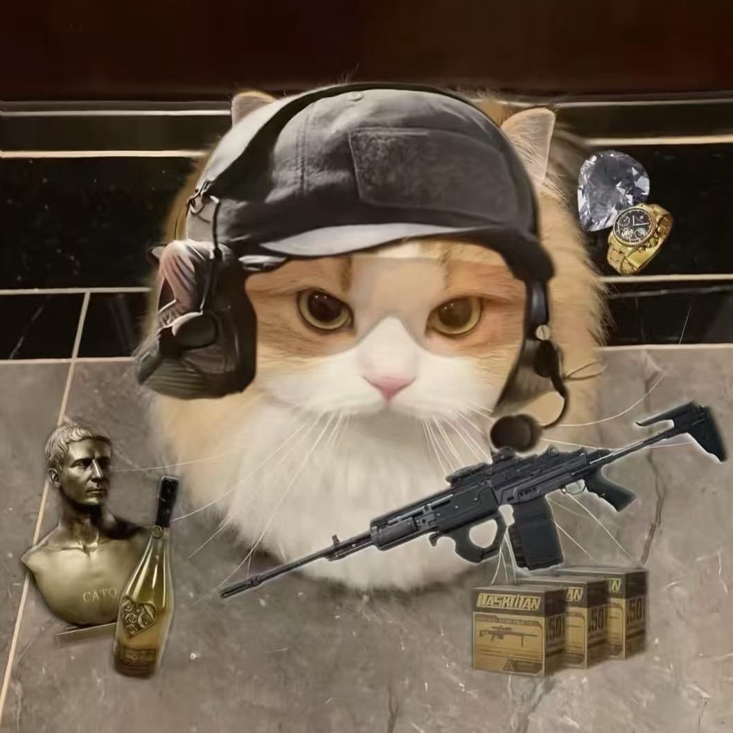 波刚（三角洲行动）