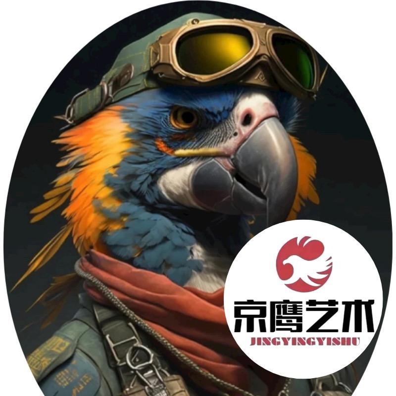 京鹰艺术(仪征碧乐汇店)宠粉号