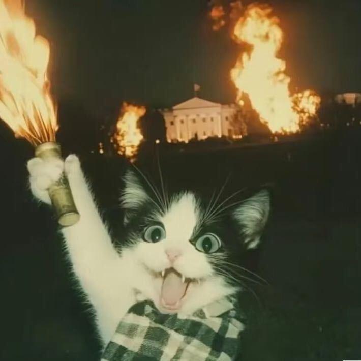 烈火堂❤️‍🔥金斗