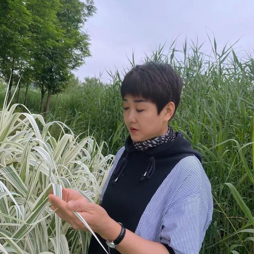 开心快乐