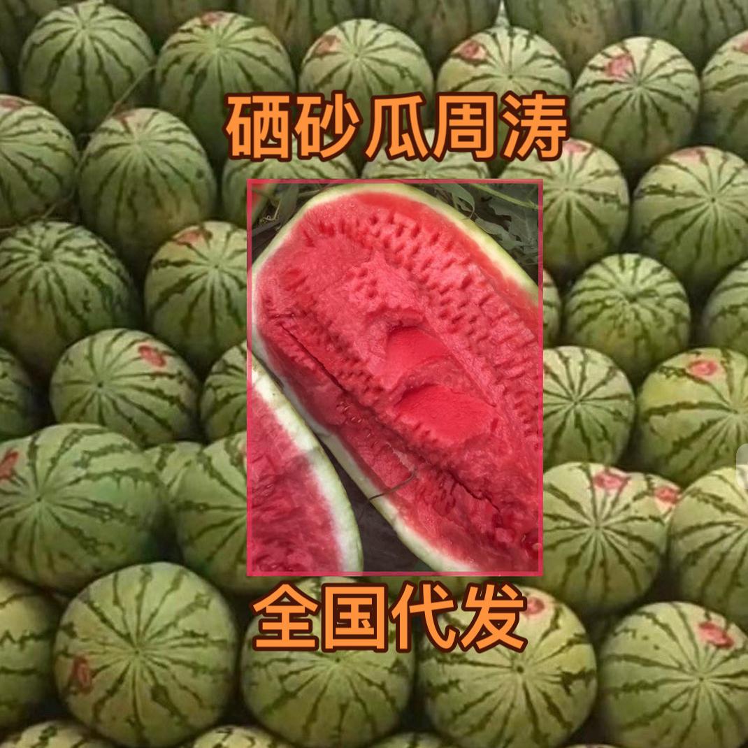 周涛硒砂瓜（展运宝商贸）