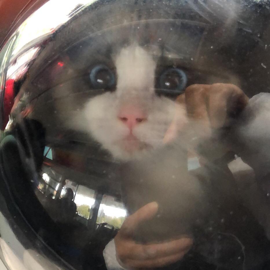 农民工回乡日记