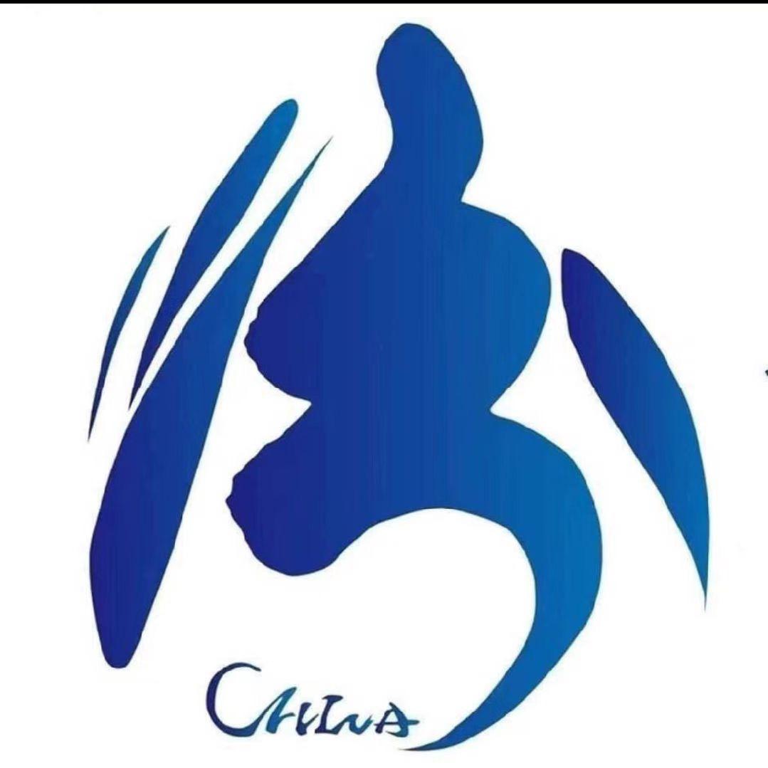 中国山西汾酒杏花村🇨🇳