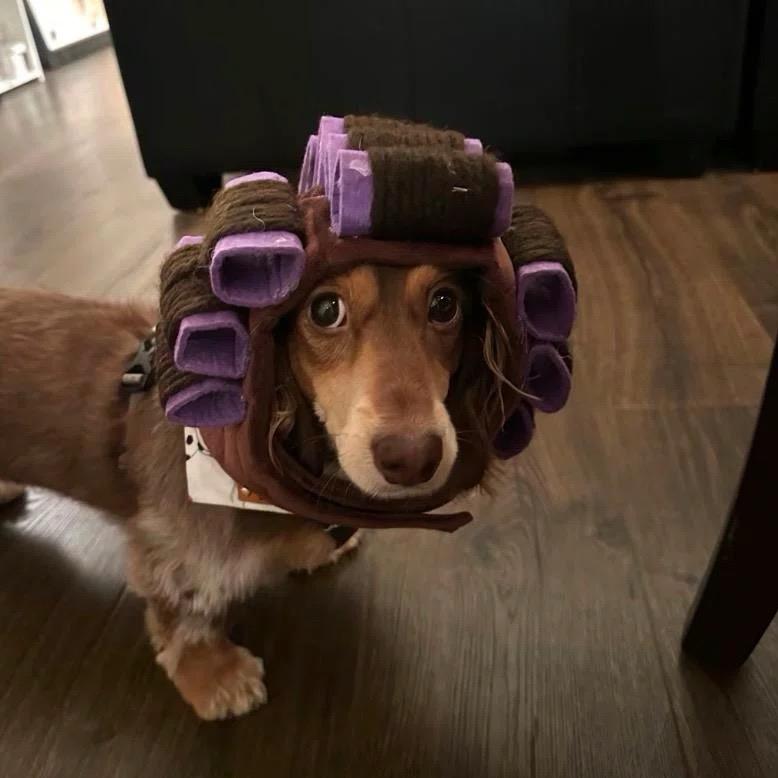 𝓯𝓸𝓻𝓮𝓿𝓮𝓻