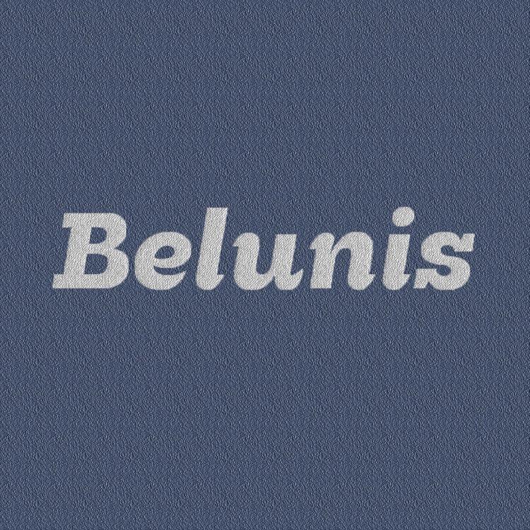 Belunis贝伦妮斯轻奢女包